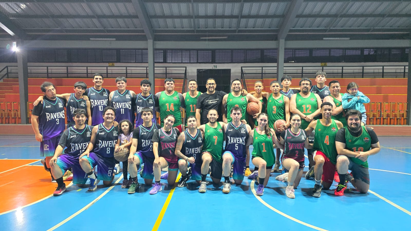 Ravens vs The Nice